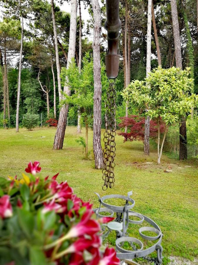 Hotel & Wellness Fra I Pini Λινιάνο Σαμπιαντόρο Εξωτερικό φωτογραφία